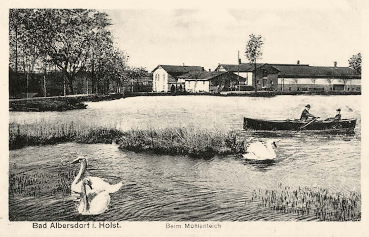 Albersdorf. Schwäne und Ruderboot auf dem Mühlenteich