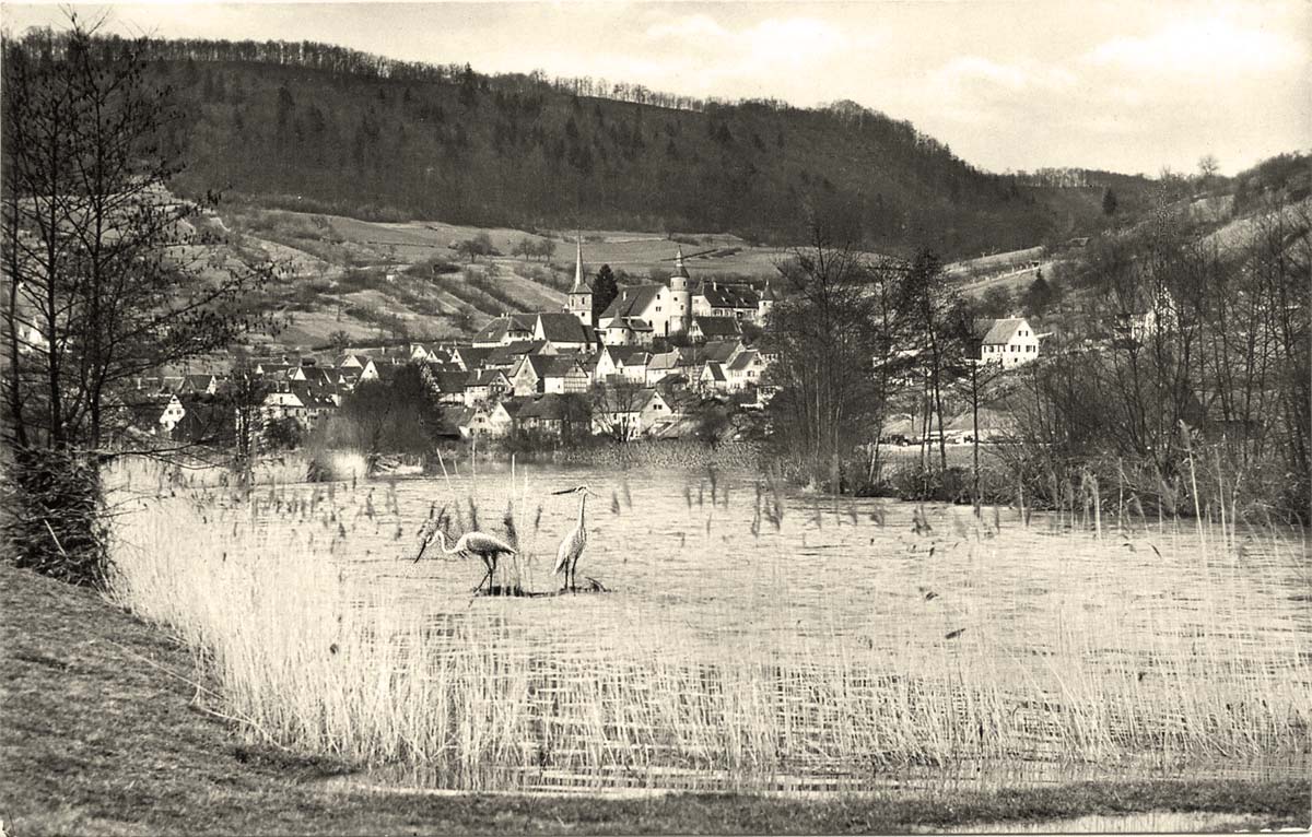 Panorama von Braunsbach, Fischreiher am fluss Kocher