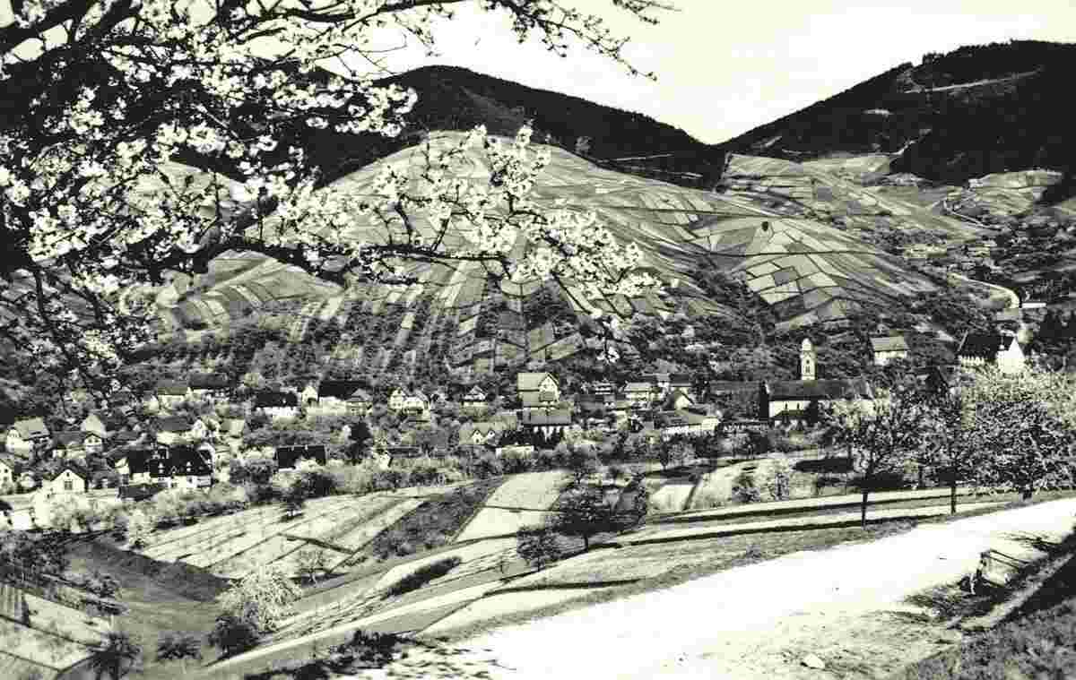 Panorama von Bühlertal, 1957
