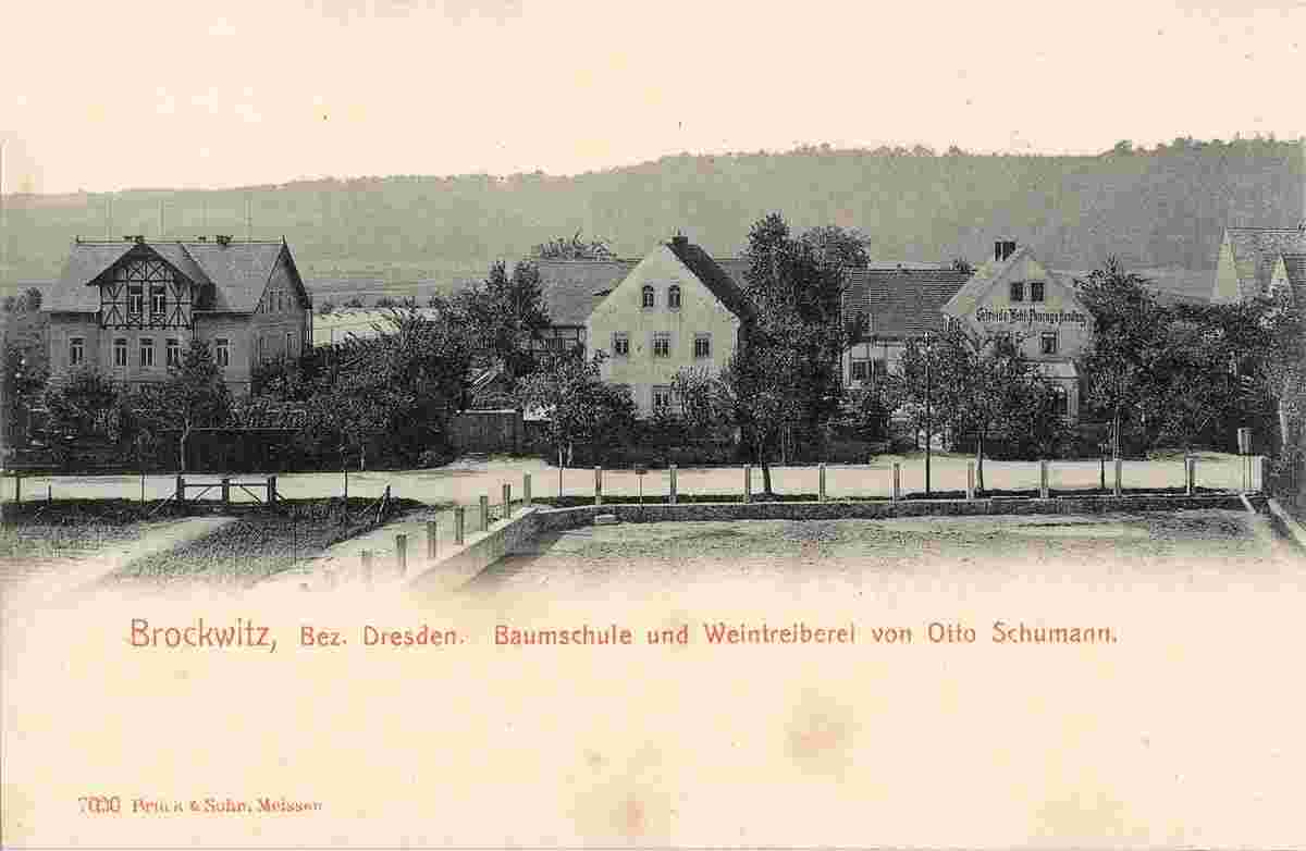 Coswig. Brockwitz - Baumschule und Weintreiberei