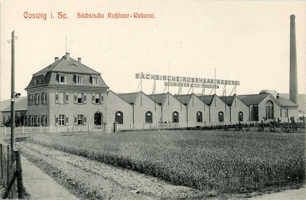 Coswig (Sachsen). Sächsische Rosshaar Weberei, 1911