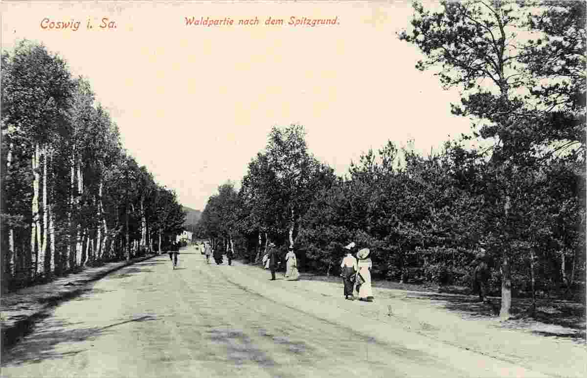 Coswig. Spitzgrund, 1913