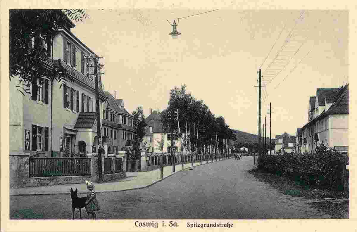 Coswig. Spitzgrundstraße, 1926
