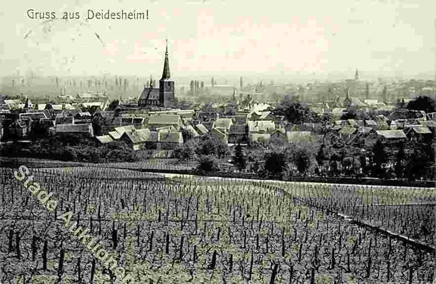 Deidesheim. Panorama der Stadt