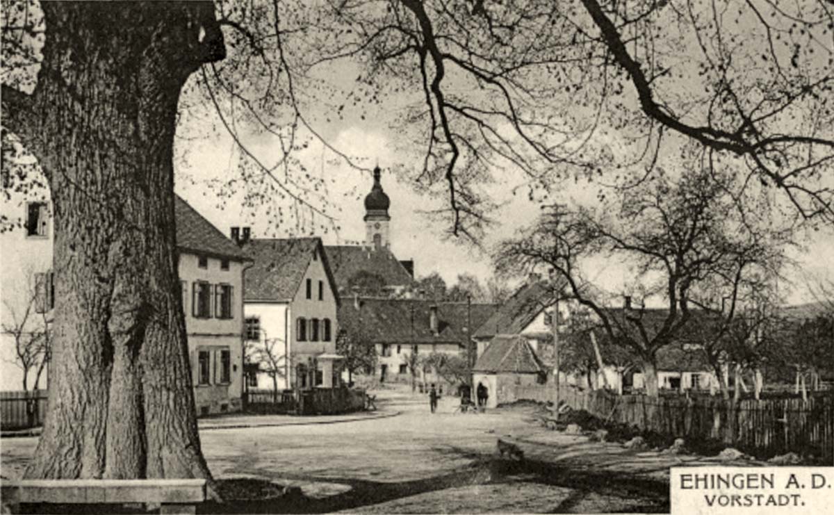 Ehingen (Donau). Panorama von Vorstadt - Straße mit Baum, 1900