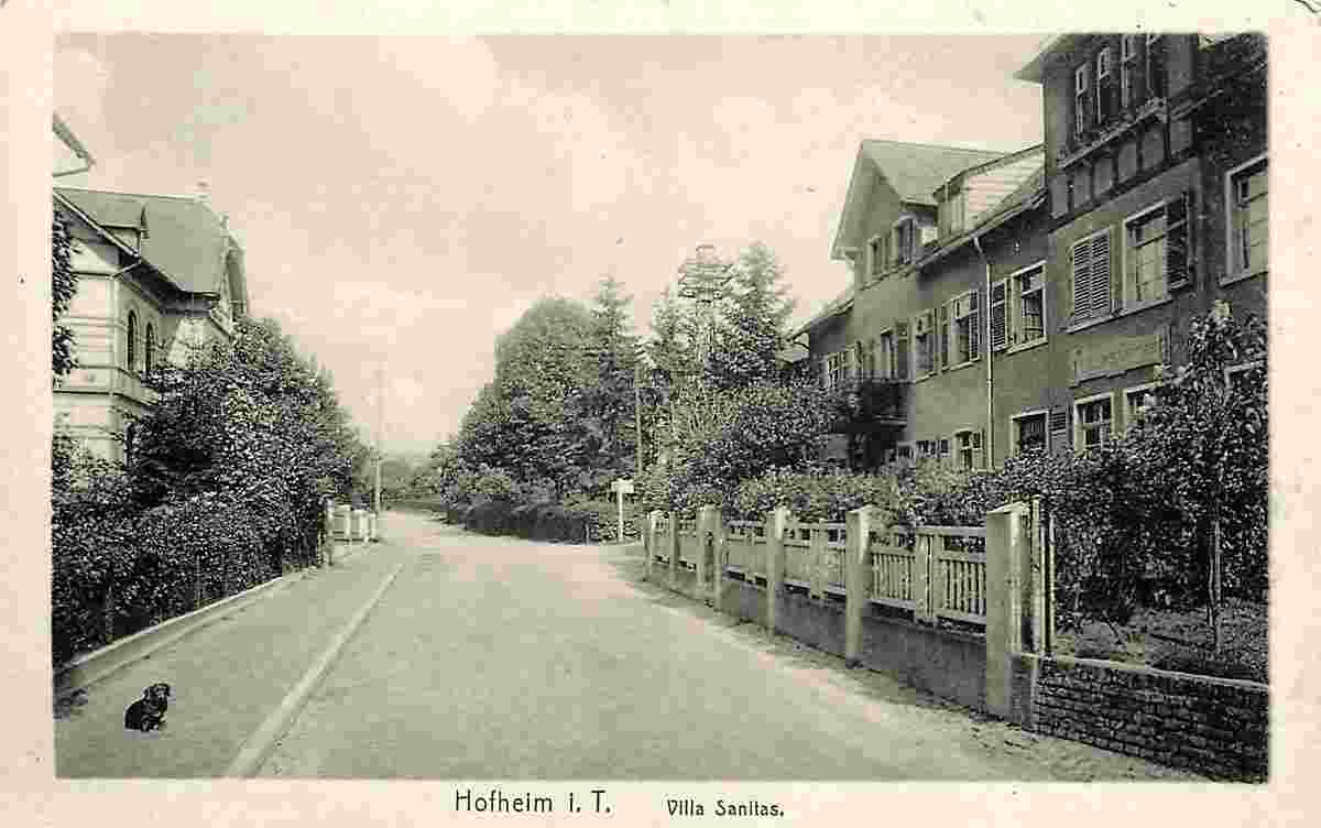 Hofheim am Taunus. Villa Sanitas