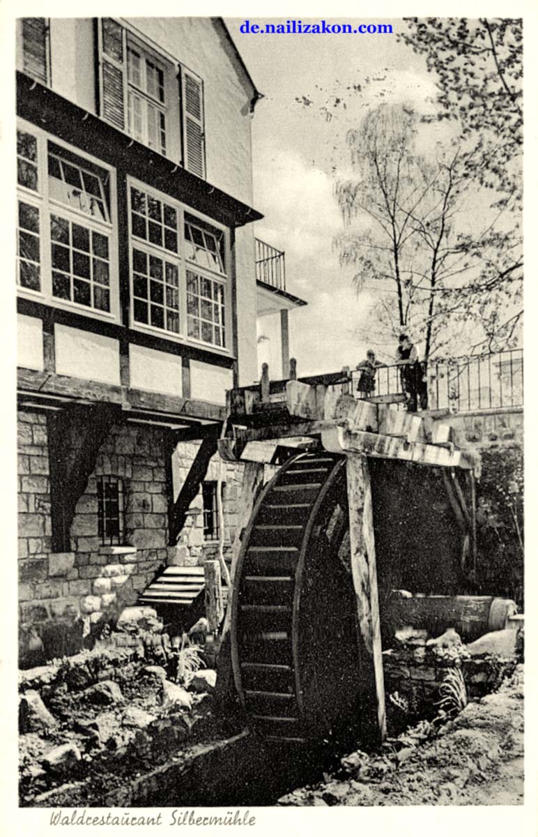 Horn-Bad Meinberg. Teutoburger Wald, Waldhotel 'Silbermühle', 1960