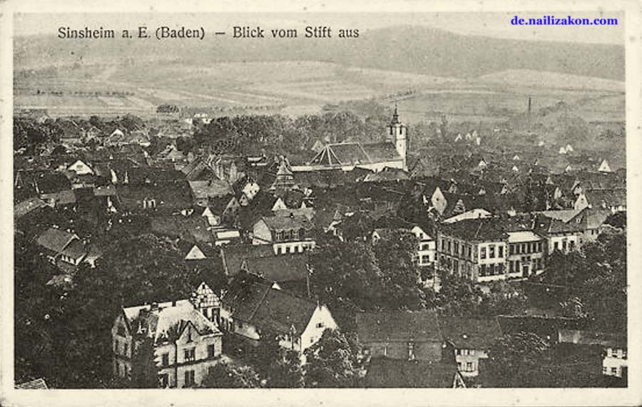 Sinsheim. Panorama der Stadt mit Kirche, 1926