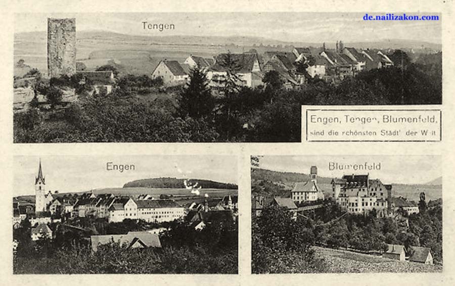 Tengen. Panorama der Stadt