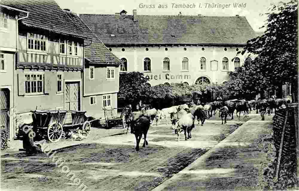 Tambach-Dietharz. Hotel Lamm