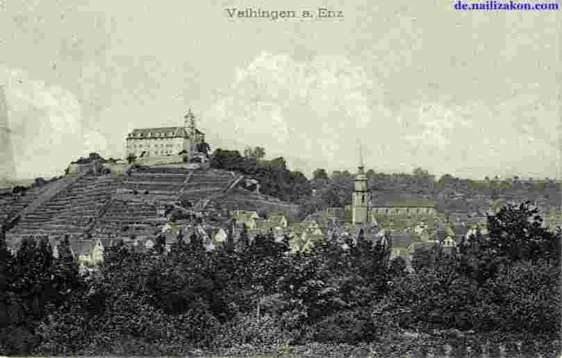 Vaihingen. Panorama der Stadt, Kirche und Schloß, 1908