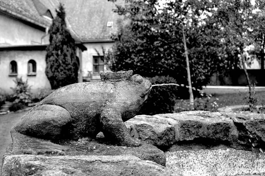 Zörbig. Froschfigur - Brunnen am Schloß Zörbig