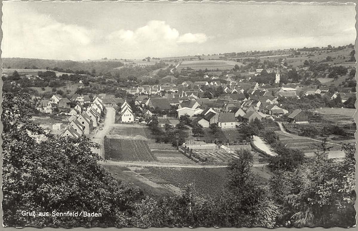 Adelsheim. Panorama von Sennfeld