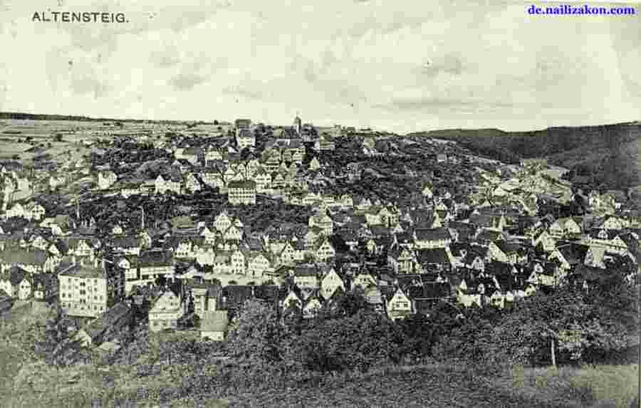 Altensteig. Panorama der Stadt, 1914