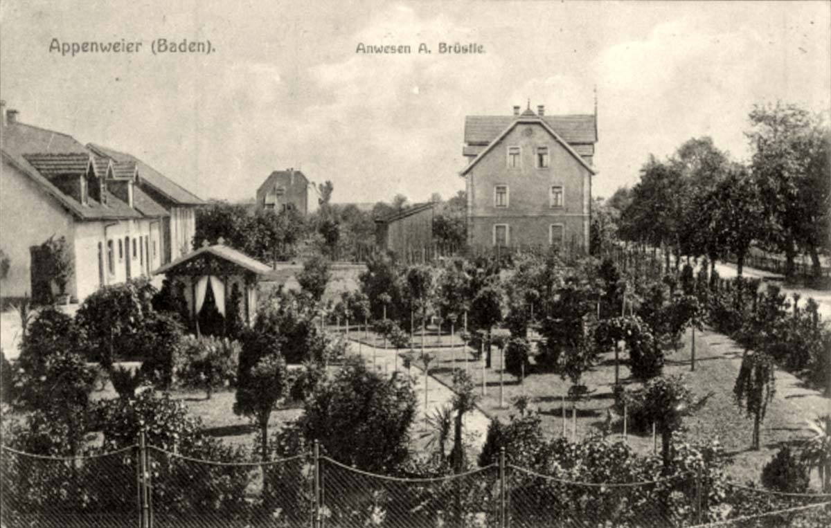 Appenweier. Anwesen A. Brüstle, Garten, 1917