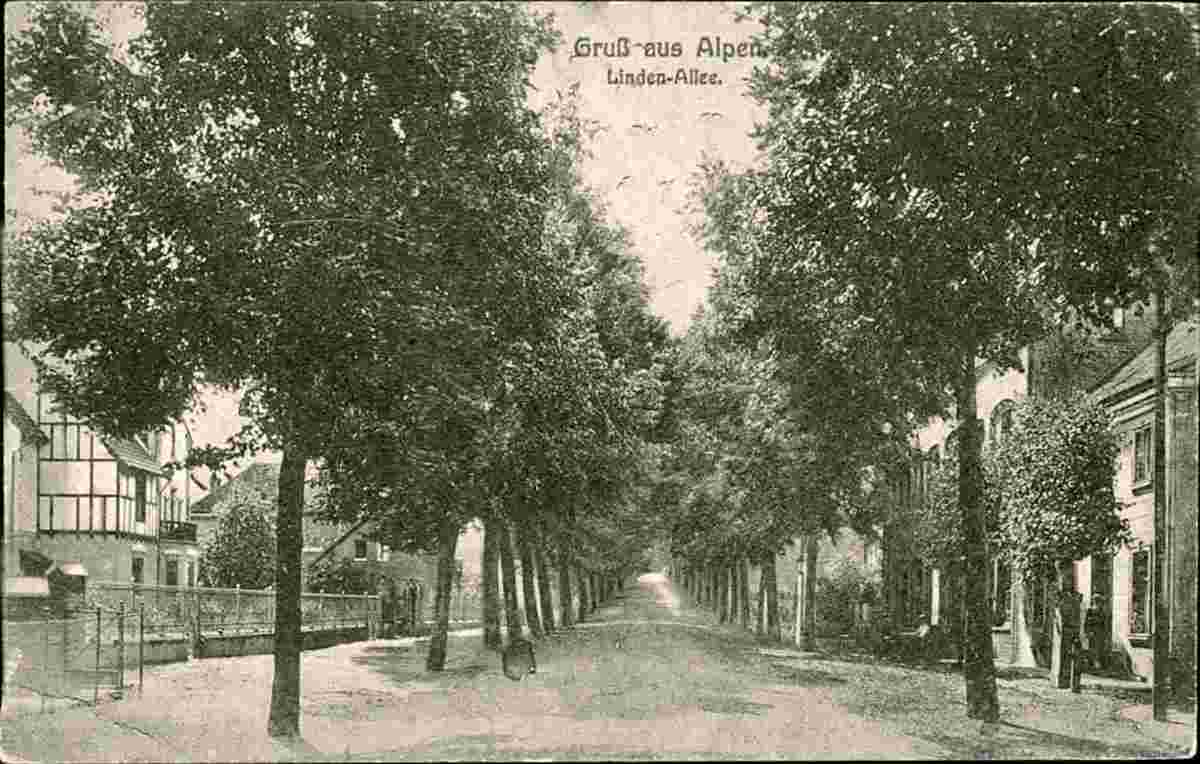 Alpen. Linden-Allee, 1919