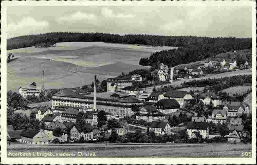 Auerbach. Panorama von Niederer Ortsteil