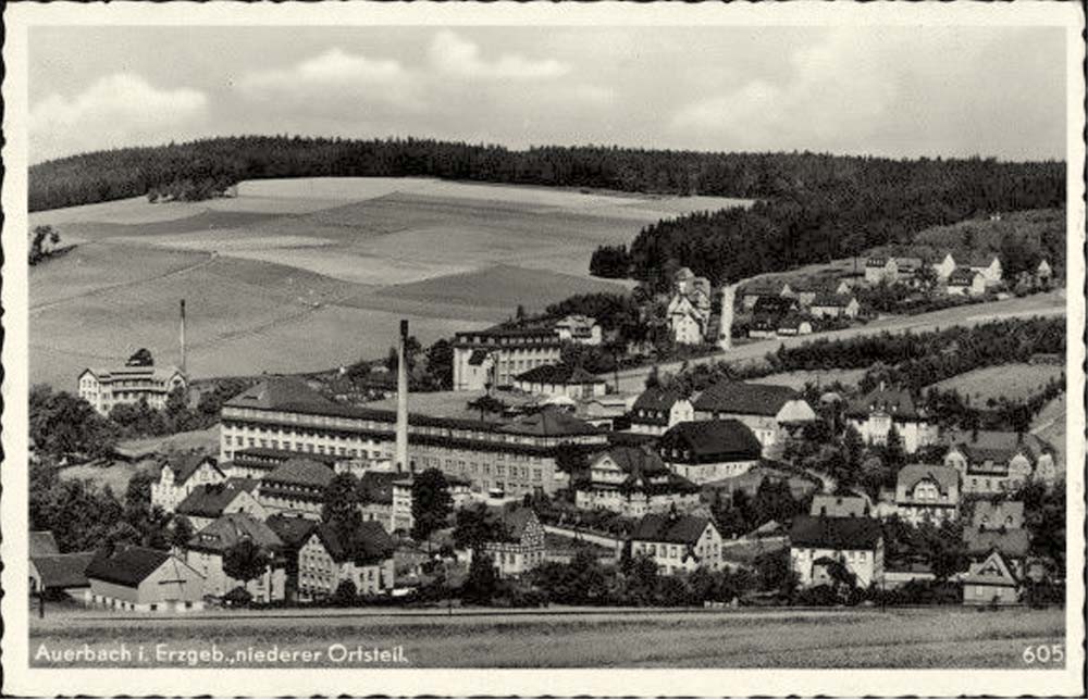 Auerbach (Erzgebirge). Panorama von Niederer Ortsteil