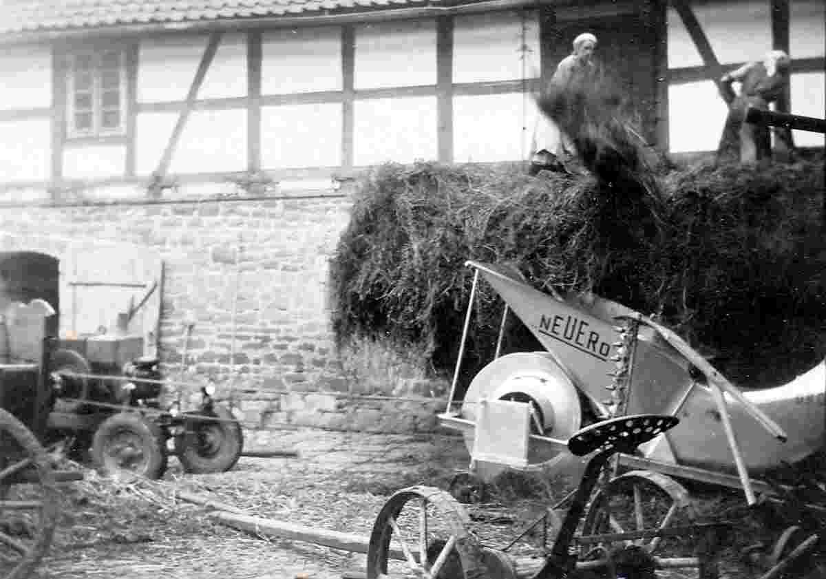 Altenhausen. Emden - Harvesting, 1950