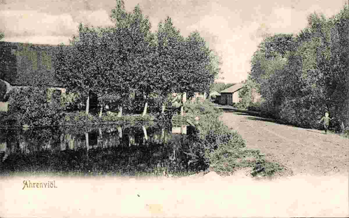 Ahrenviöl. Straße, Teich, Wohnhäuser, 1905