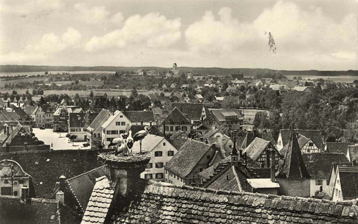 Panorama von Bad Buchau, 1954