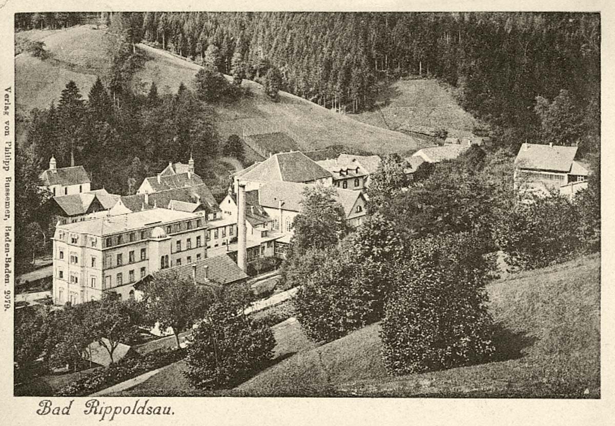 Panorama von Bad Rippoldsau, zwischen 1910 und 1920