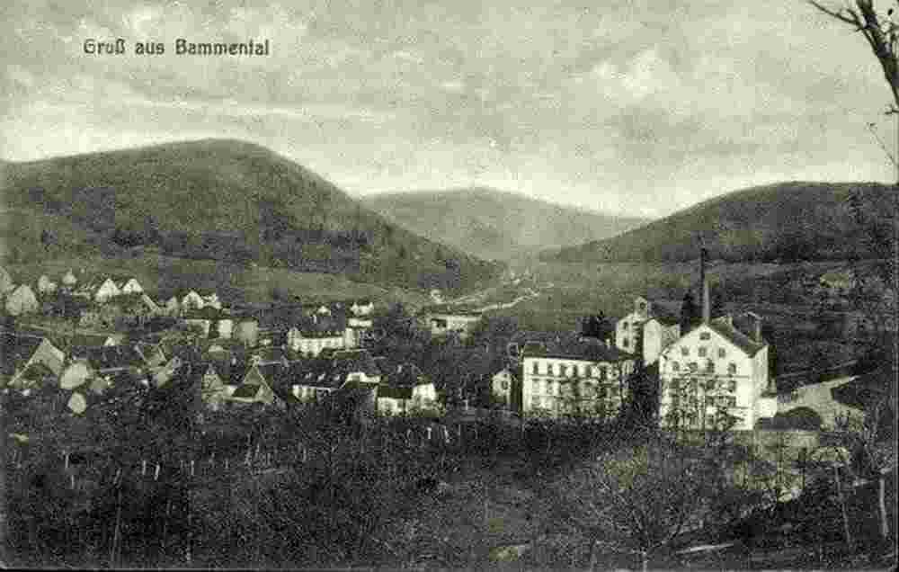 Panorama von Bammental mit Fabrik