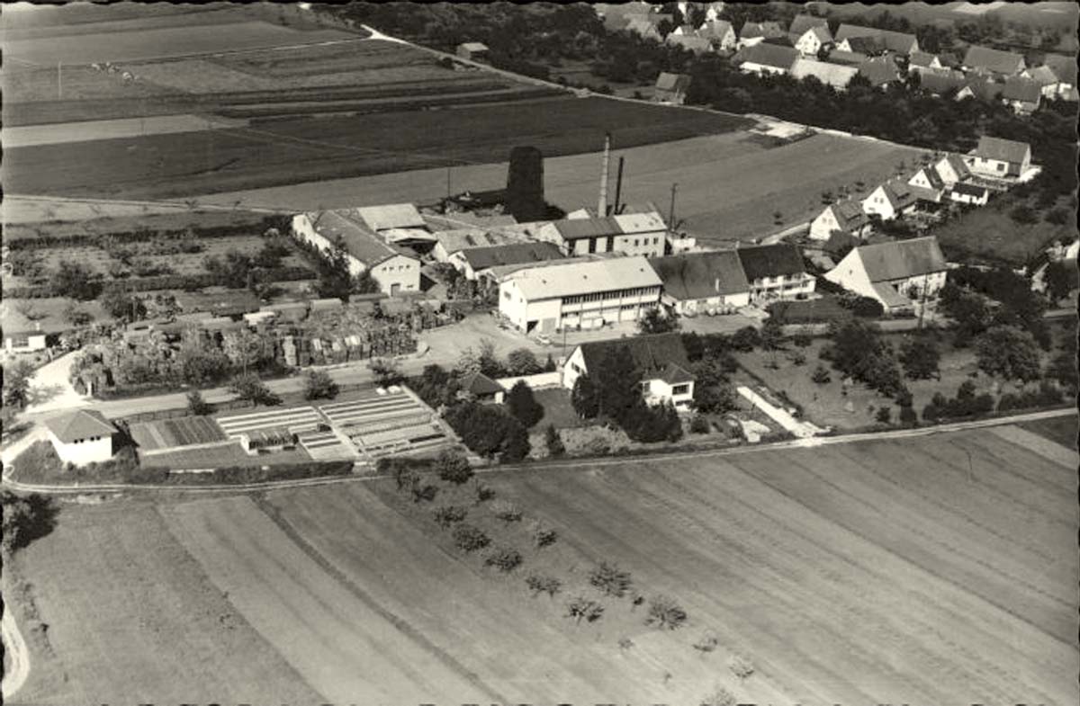 Bühlenhausen - Fliegeraufnahme, 1960