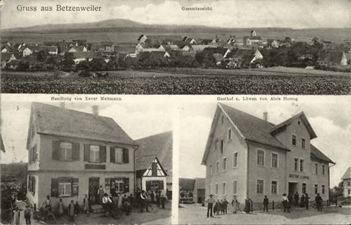Panorama von Betzenweiler, Handlung von Xaver Mattmann