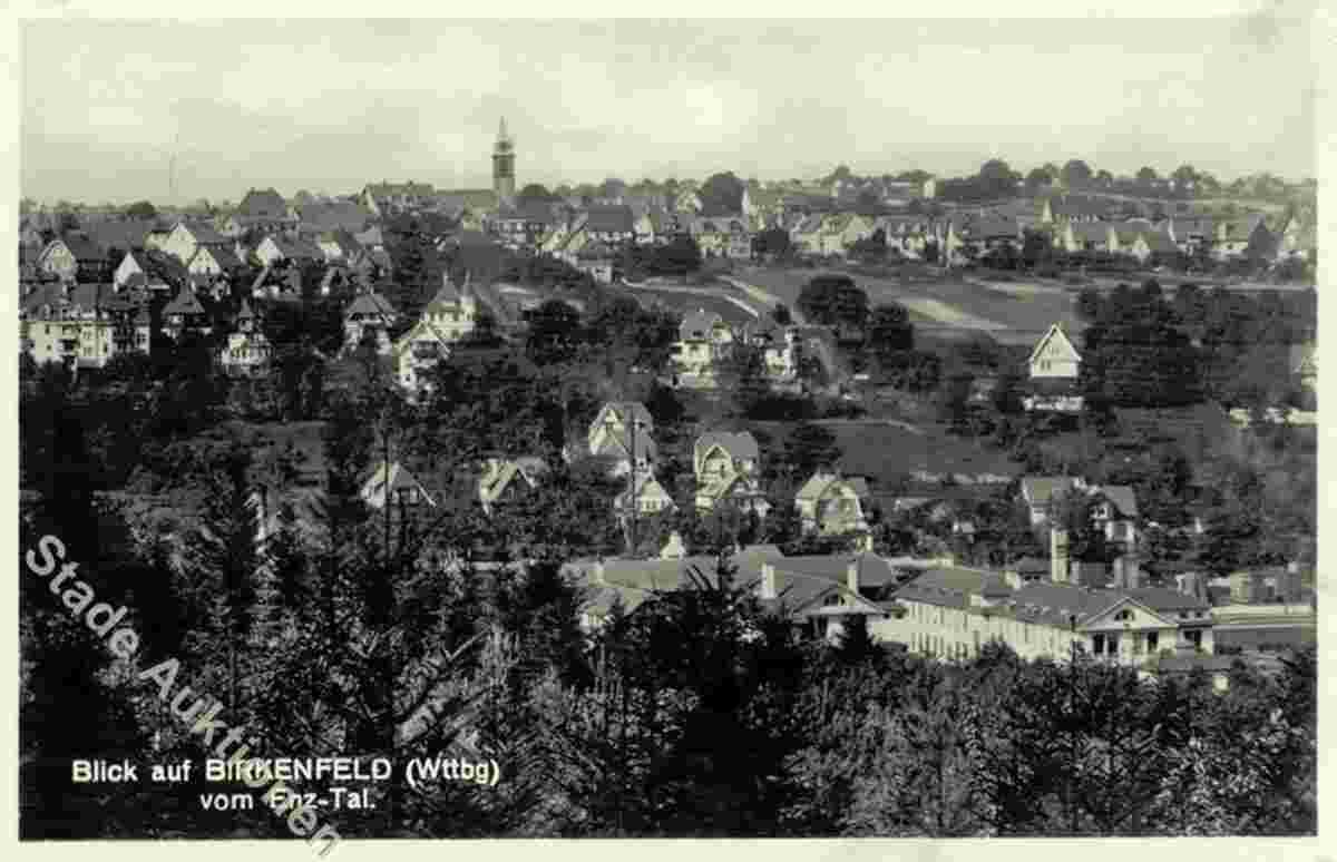 Panorama von Birkenfeld