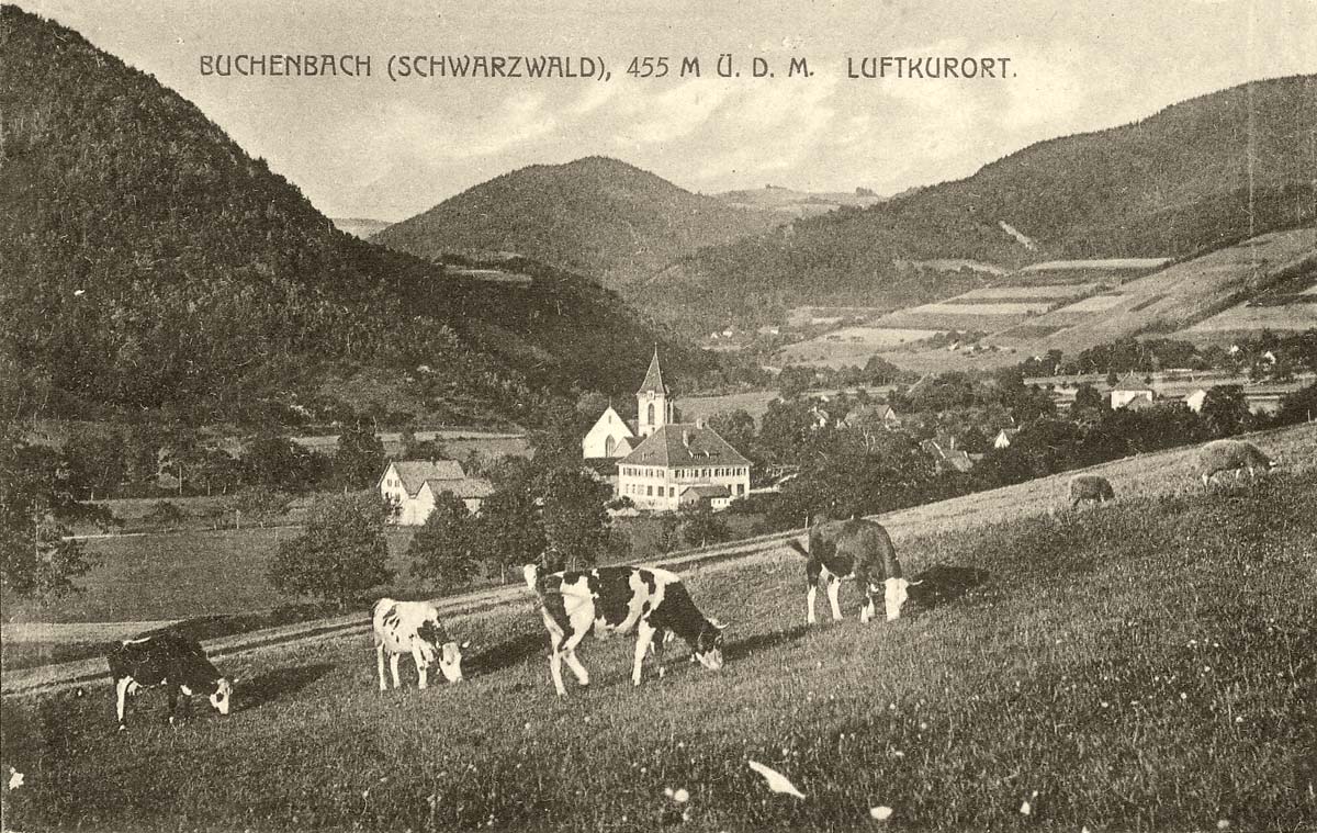 Panorama von Buchenbach