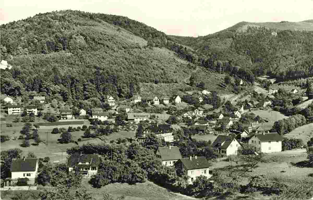 Panorama von Bühlertal, 1963