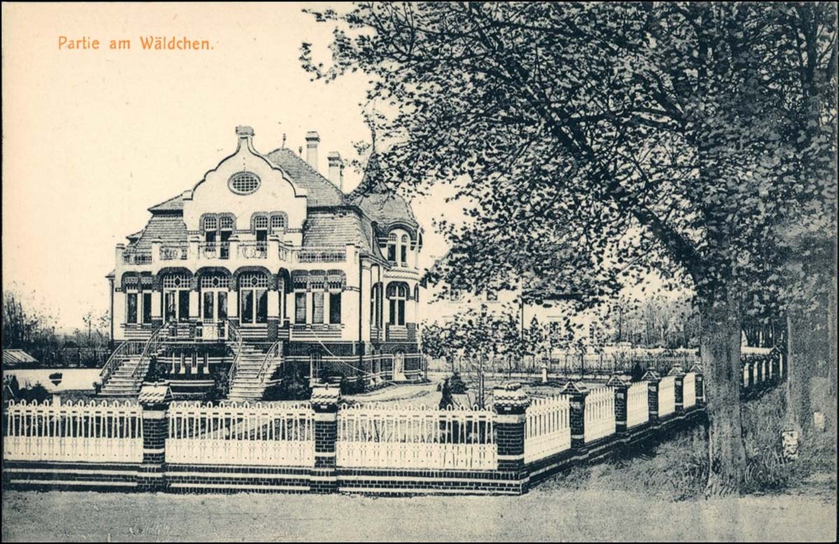 Bad Liebenwerda. Villen, 1913