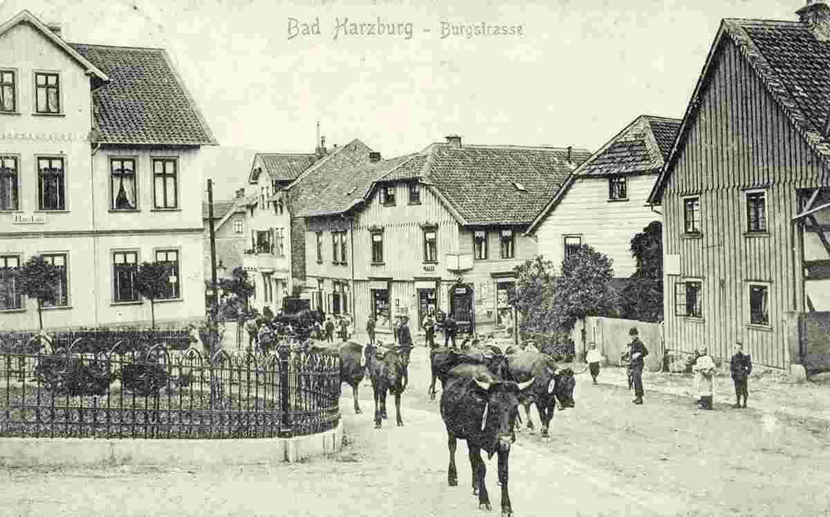 Bad Harzburg. Burgstraße, 1915