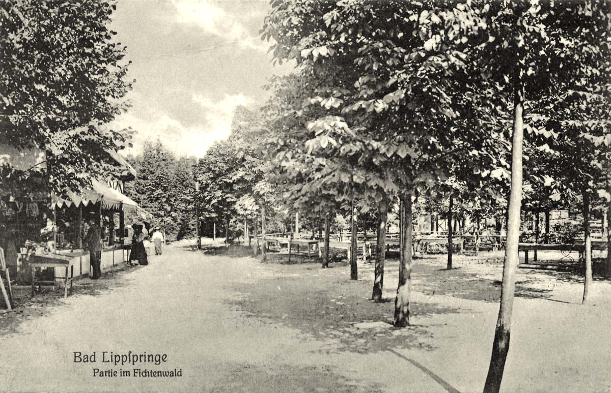 Bad Lippspringe. Fichtenwald, 1908