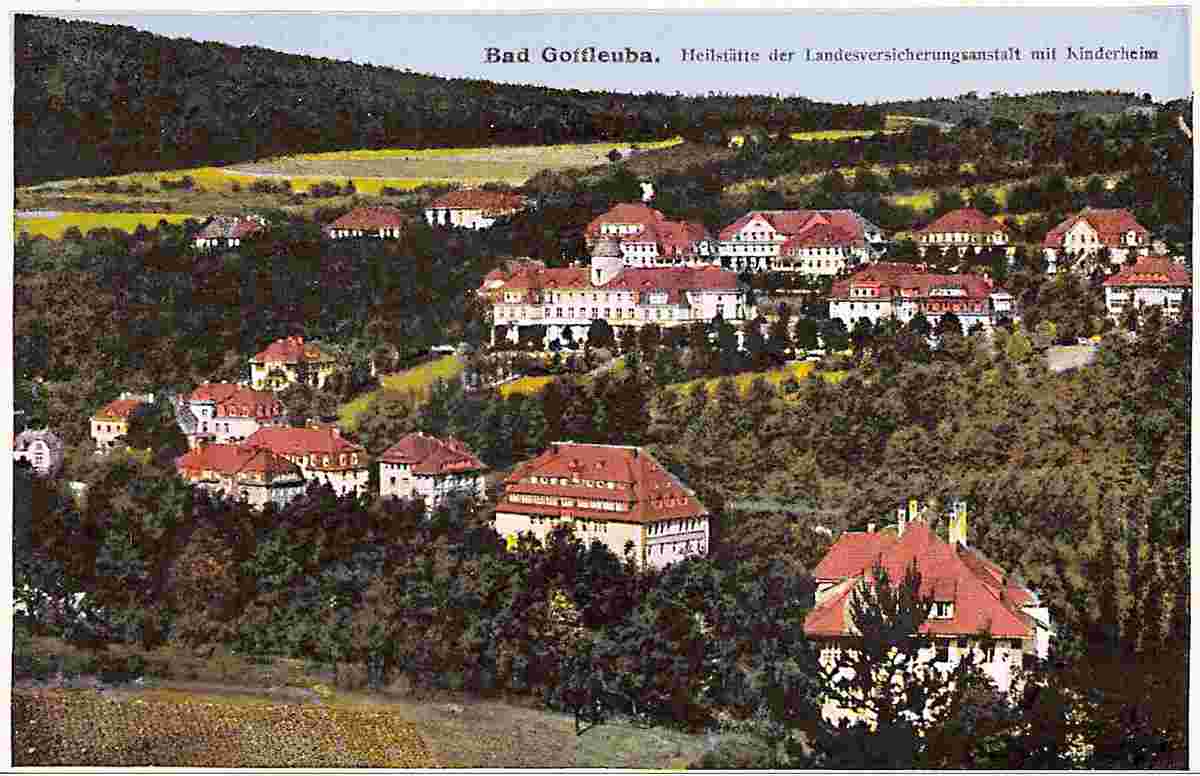 Bad Gottleuba-Berggießhübel. Panorama der Stadt-1