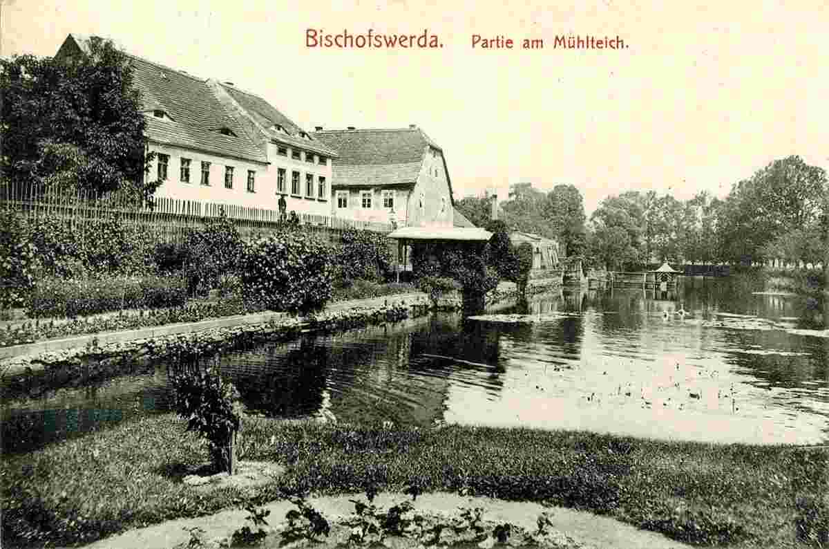 Bischofswerda. Mühlteich, 1903
