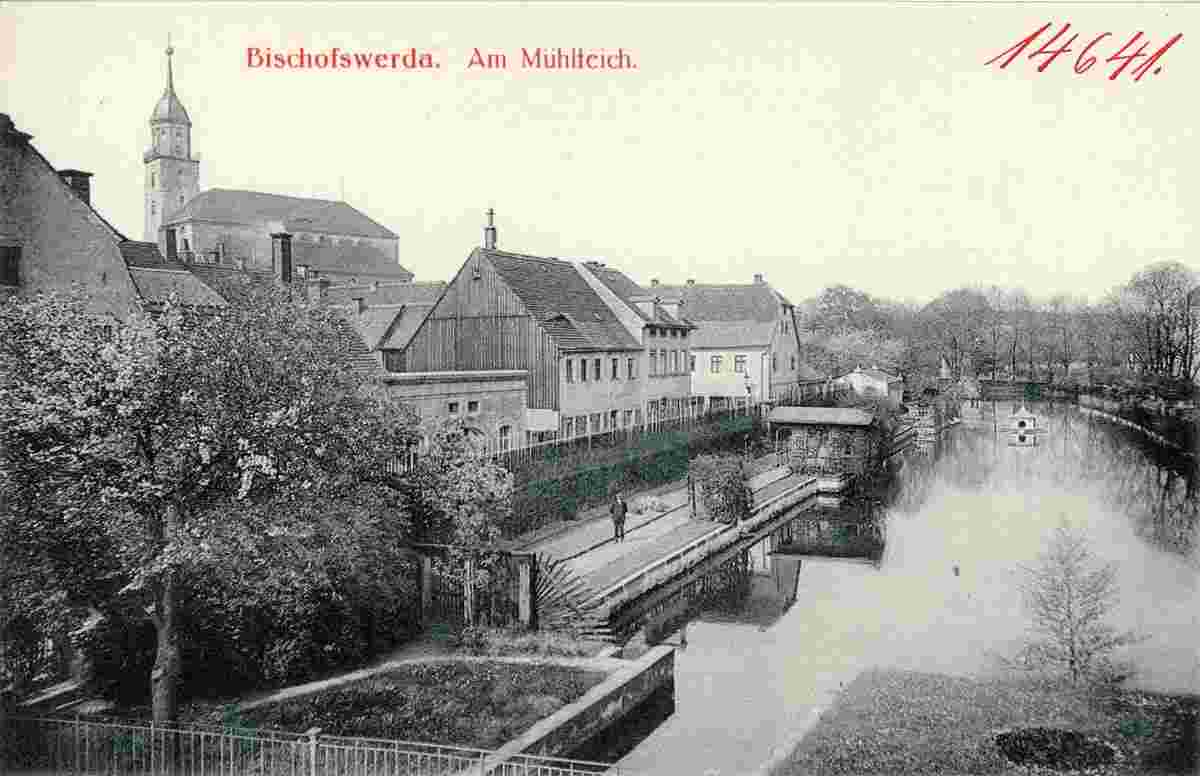 Bischofswerda. Mühlteich, 1912
