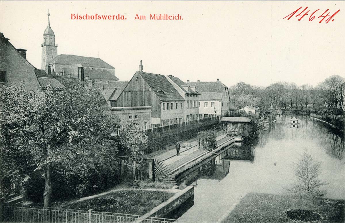 Bischofswerda. Mühlteich, 1912