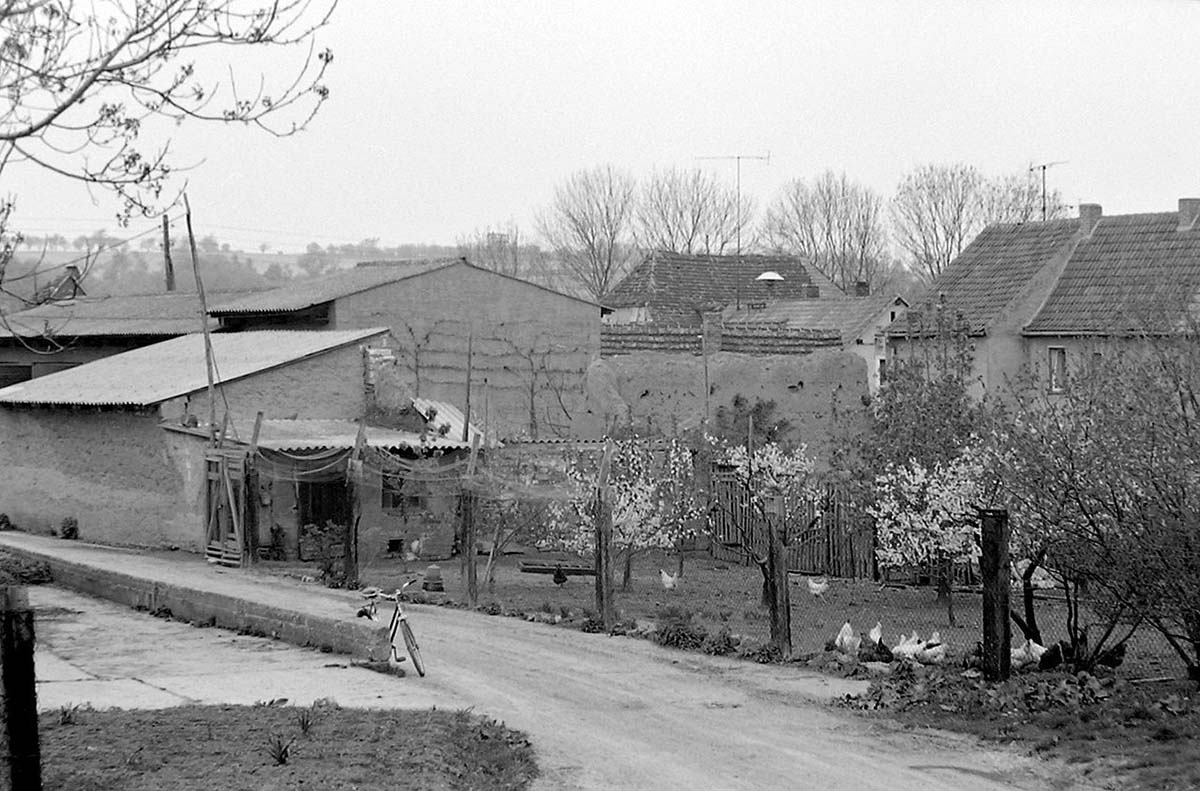 Panorama von Balgstädt - Hof und Garten, 1989