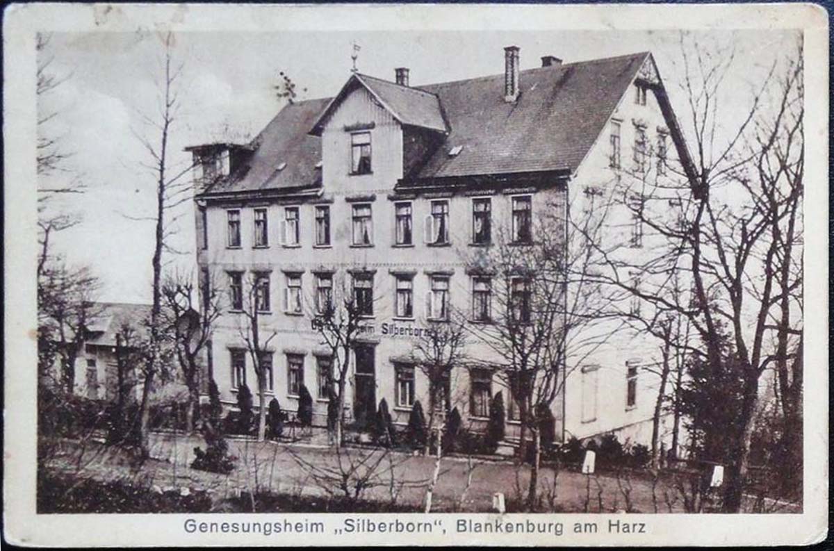 Blankenburg (Harz). Genesungsheim 'Silberborn', um 1910