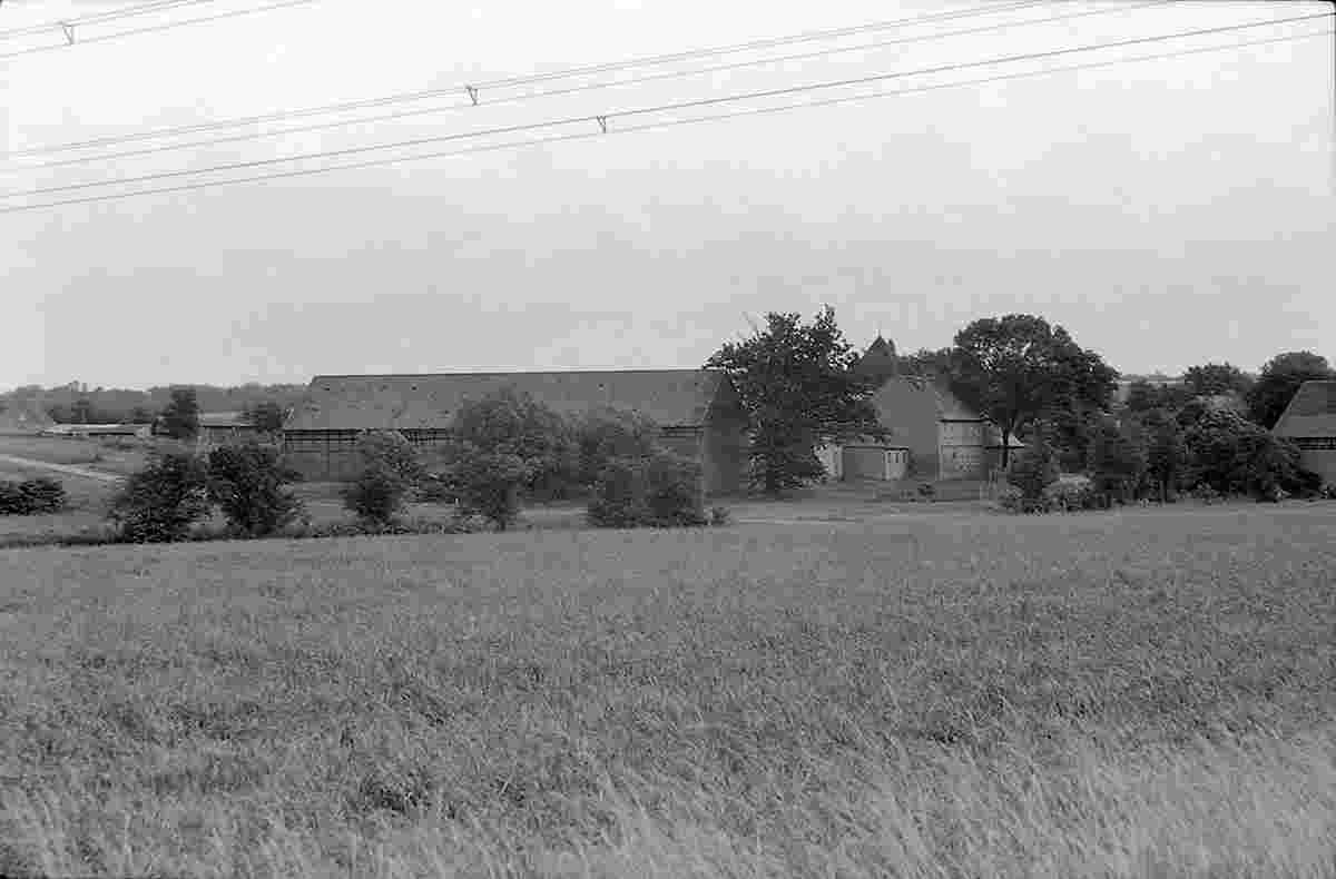 Buttelstedt. Daasdorf - Blick am Dorf, 1990