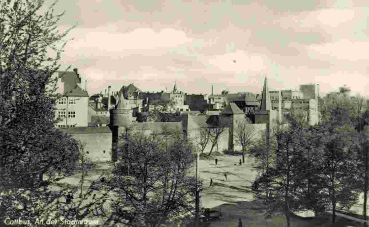 Cottbus. Panorama von Stadtmauer, 1952