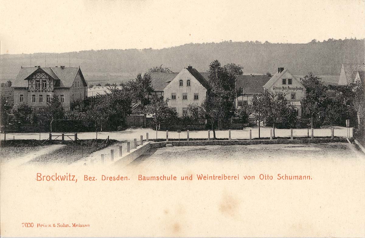 Coswig (Sachsen). Brockwitz - Baumschule und Weintreiberei