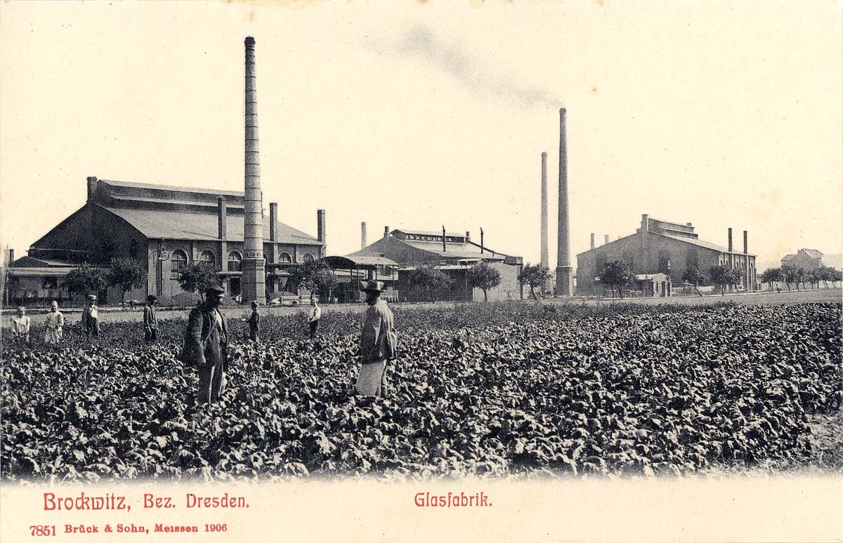 Coswig (Sachsen). Brockwitz - Glasfabrik, 1906