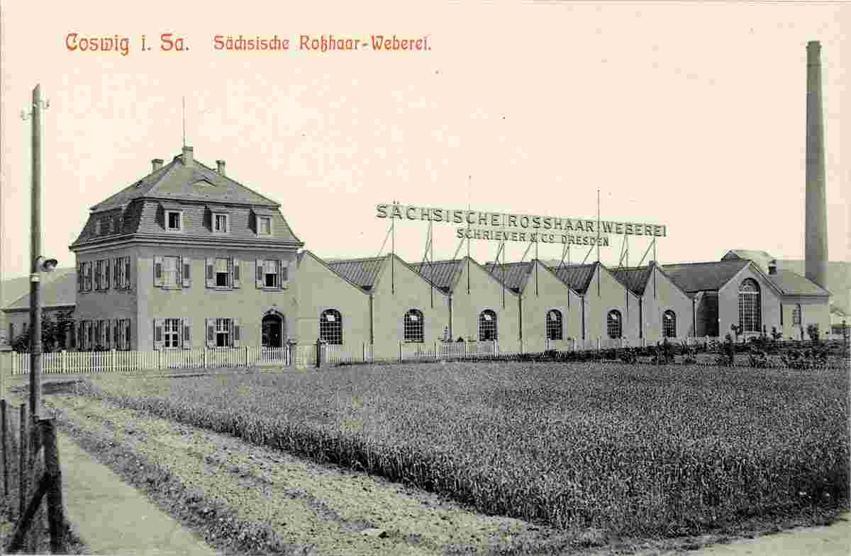 Coswig. Sächsische Rosshaar Weberei, 1911