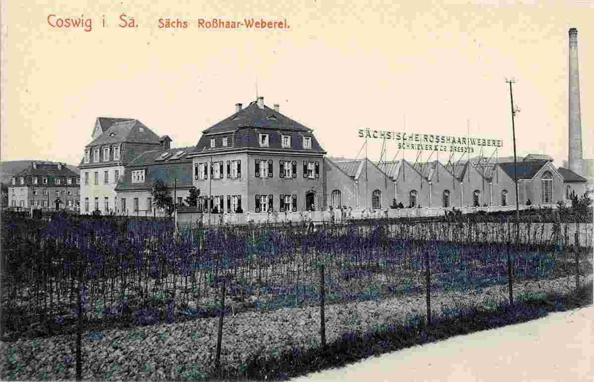 Coswig. Sächsische Rosshaar Weberei, 1913