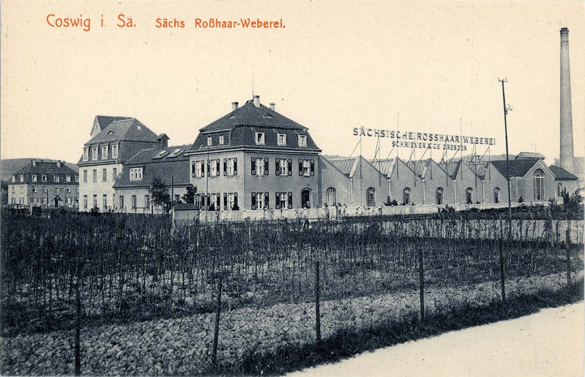 Coswig (Sachsen). Sächsische Rosshaar Weberei, 1913