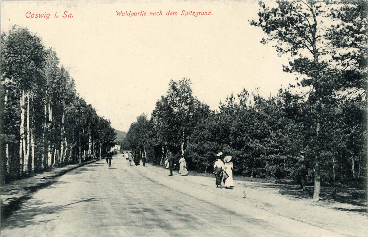 Coswig (Sachsen). Spitzgrund, 1913