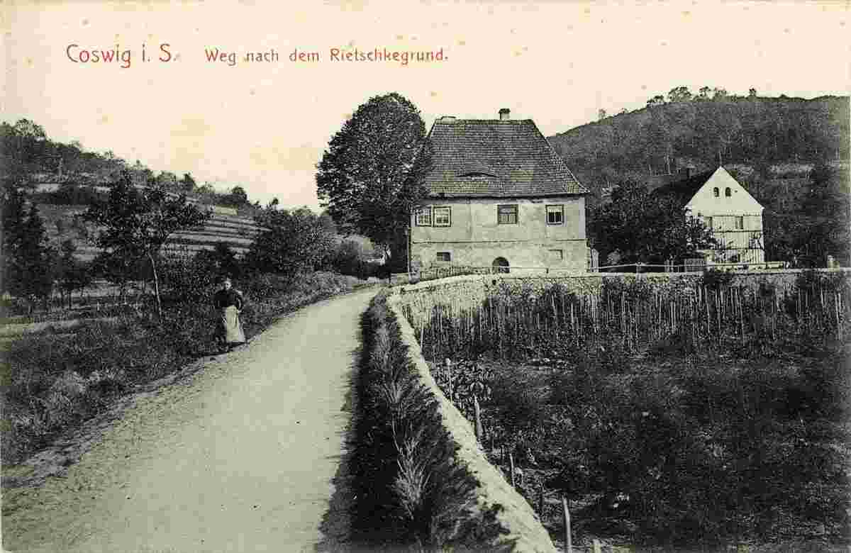 Coswig. Weg nach dem Rietzschkegrund, 1908